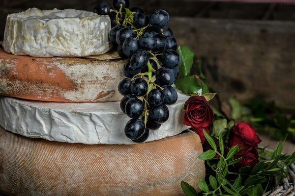 Où participer à un atelier de fabrication de fromage de chèvre en Provence, France ?